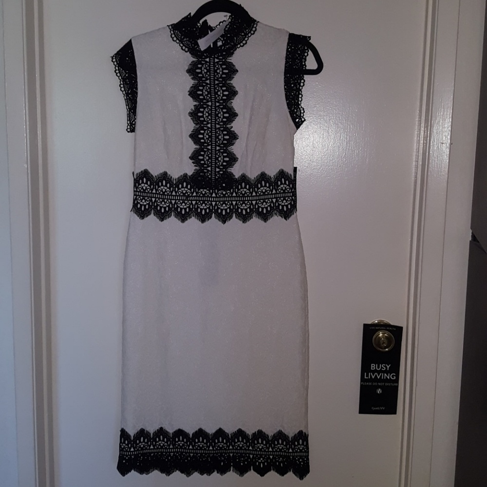 NWT NY&C CONTRASTING LACE SHEATH DRESS Size Small 